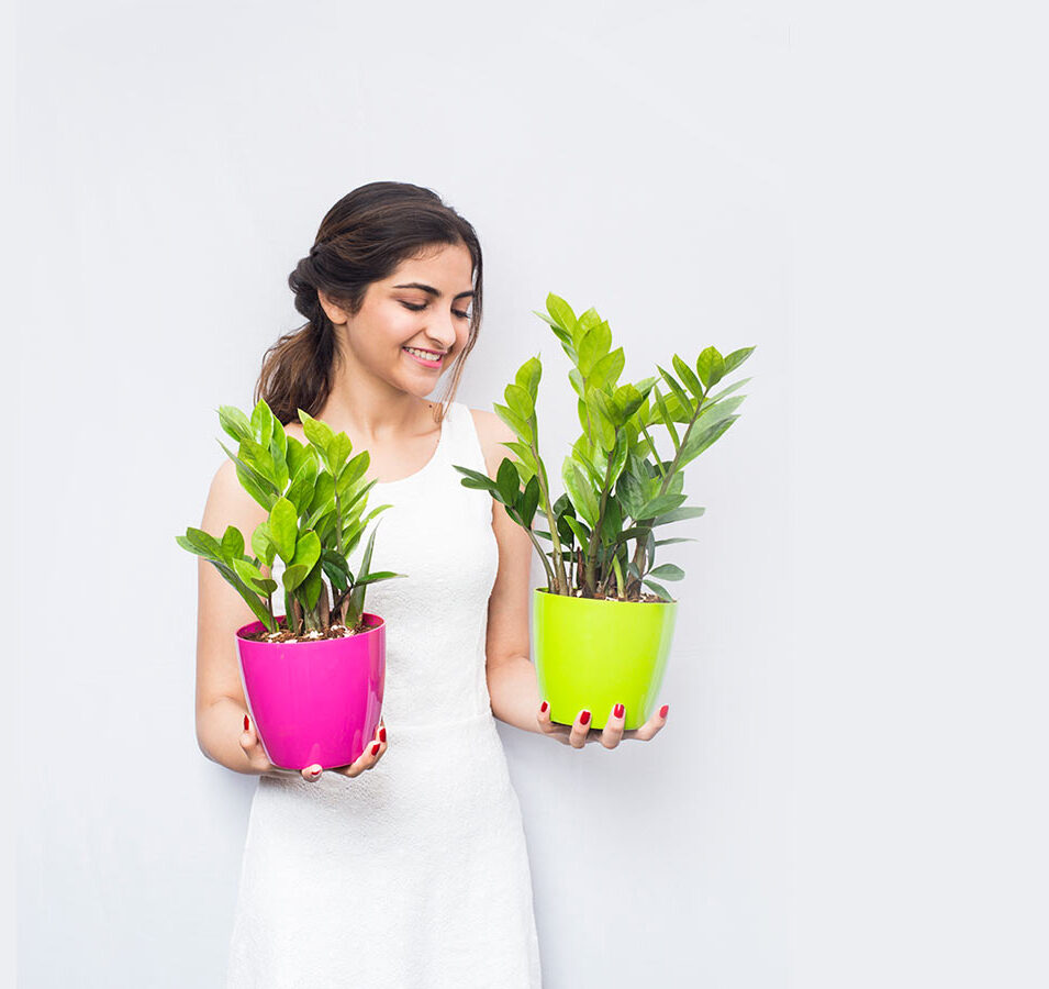 pots and planters